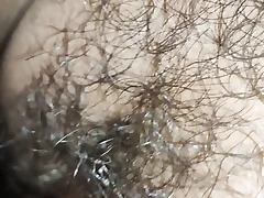 I nail nymph of fur covered cootchie nymph in india